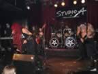 wwstudioa1.jpg (84kb)